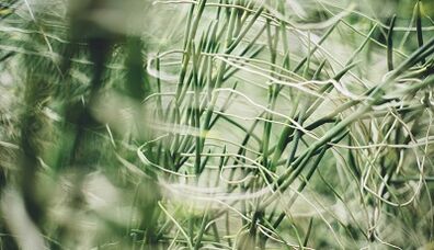 Cómo hacer un amuleto de la suerte con tus propias manos.