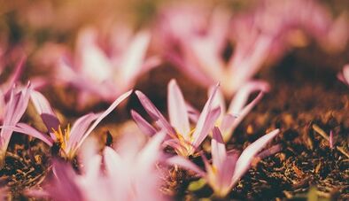 cómo hacer un amuleto de la suerte con tus propias manos